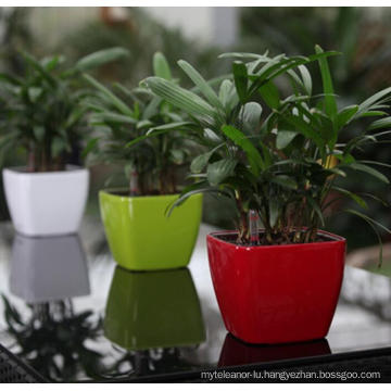 (BC-F1041) Fashionable Design Plastic Self-Watering Flower Pot